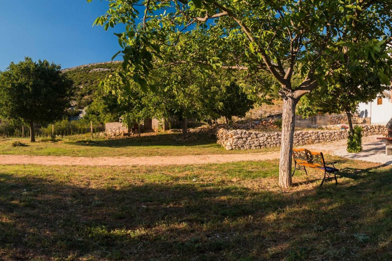 Kuca Za Odmor Lucija Apartamento Vrana  Exterior foto